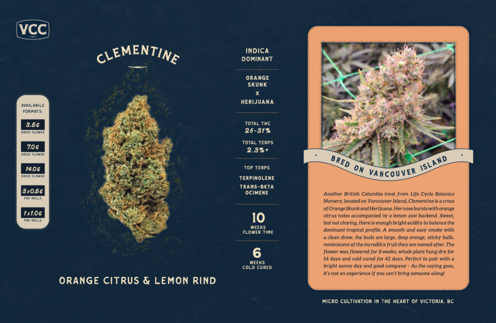 clementine cultivar product sheet download