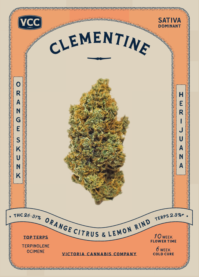 clementine cultivar product card download
