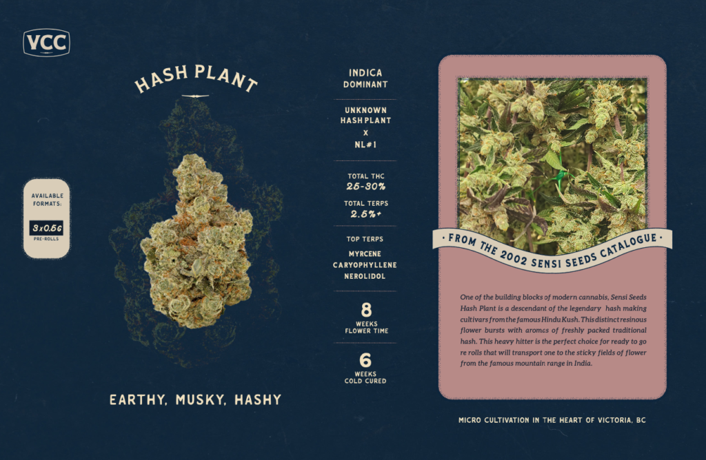 hash plant product sheet download