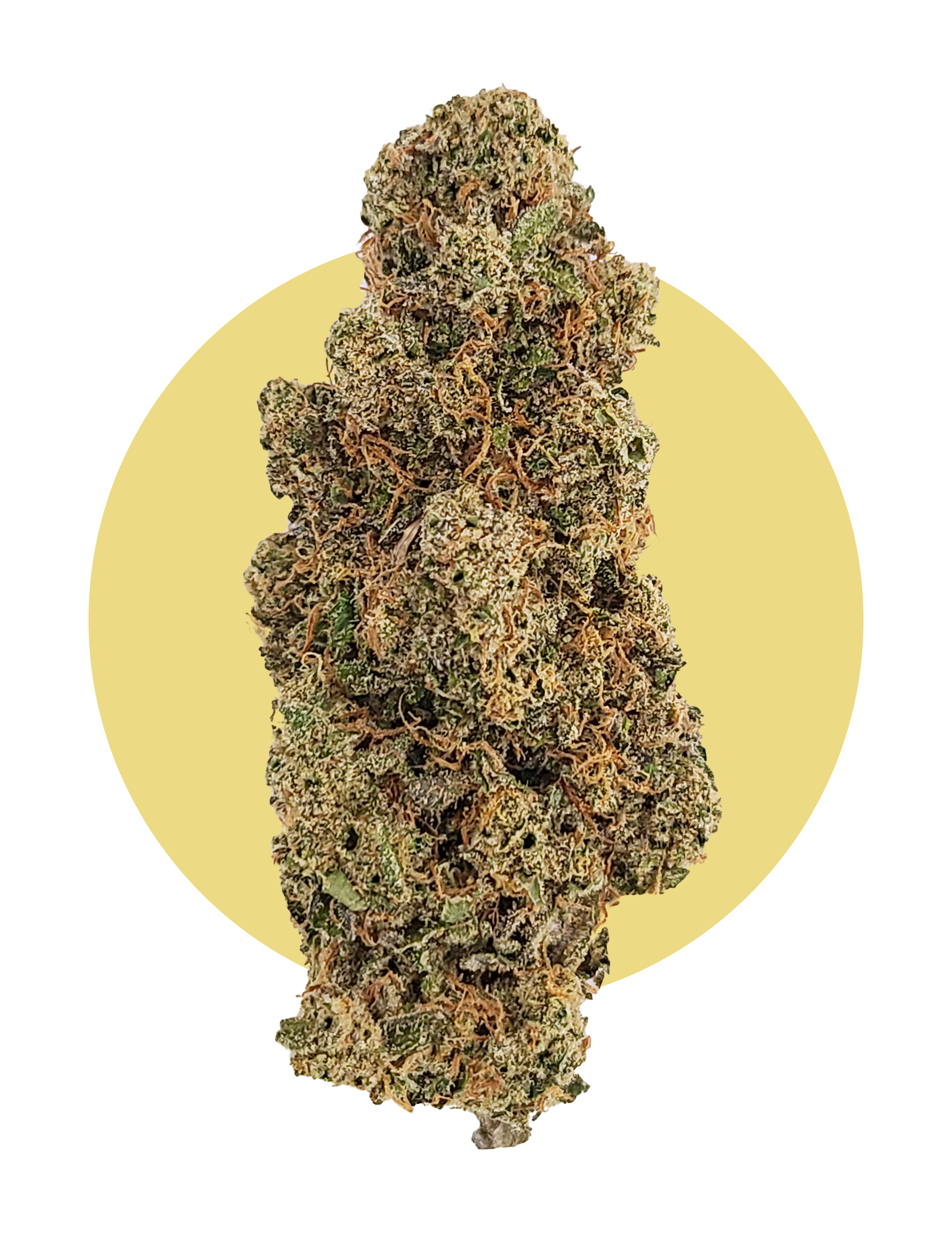 Pomelo Skunk