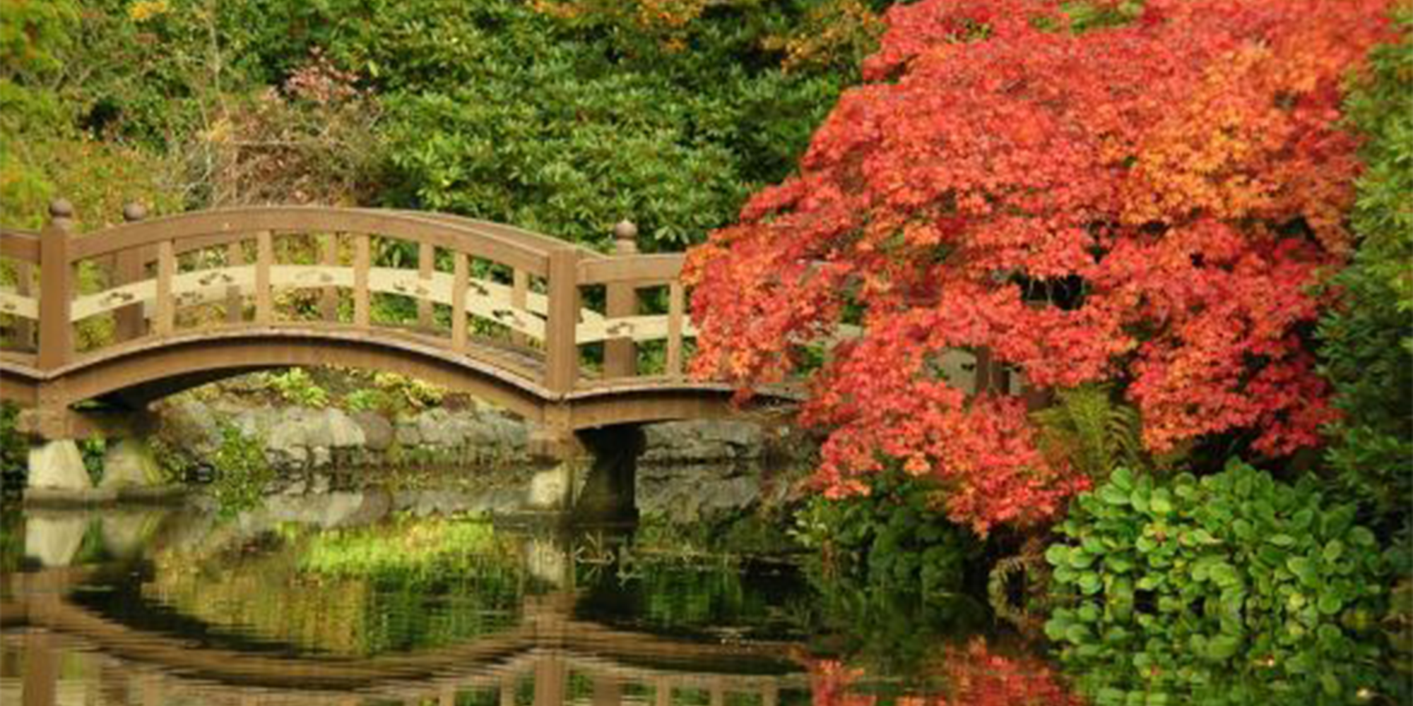 beacon hill park