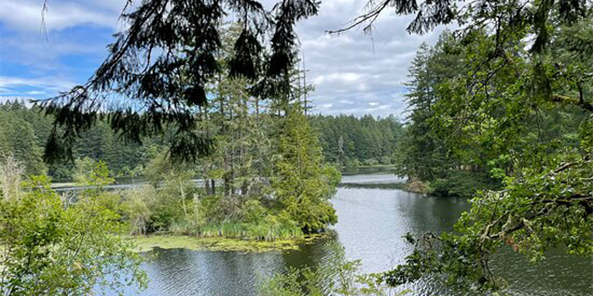 thetis lake
