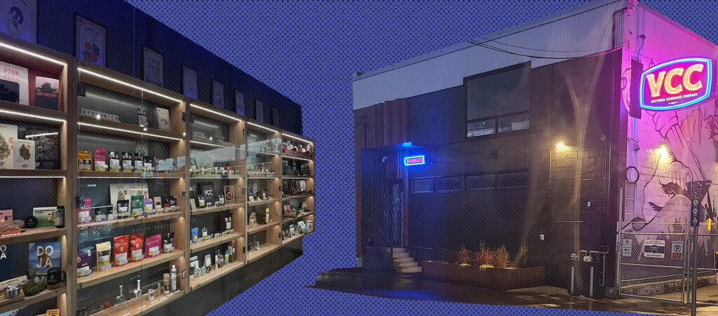 Cannabis culture blog articles 1 The Craft Cannabis Collective- Stories from Our Partners Across BC