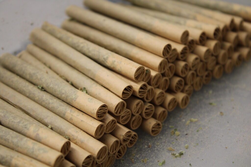 straight-cut pre-rolls
