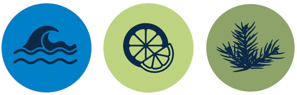 Ukee craft cannabis coastal citrus and spruce tip aroma.