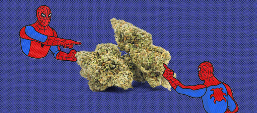 Craft Cannabis vs Commercial - What’s the Difference?