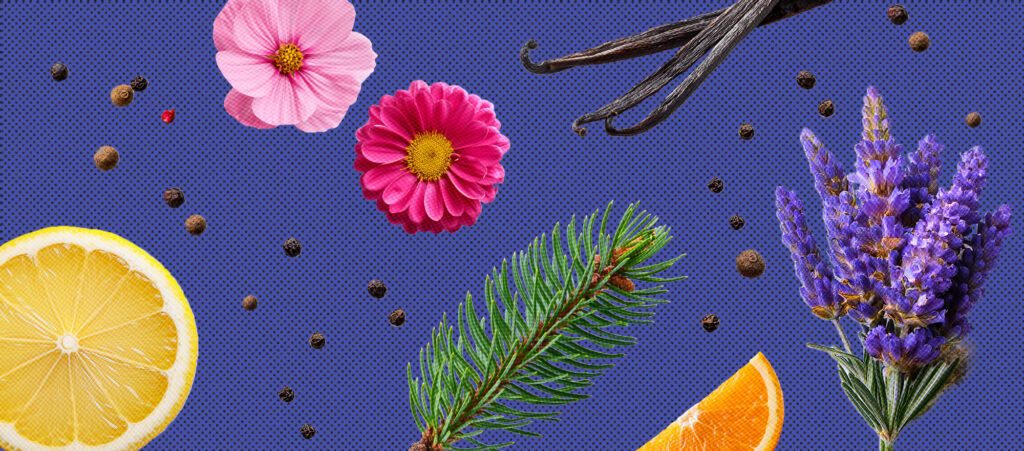 Why Terpenes Matter in Craft Cannabis