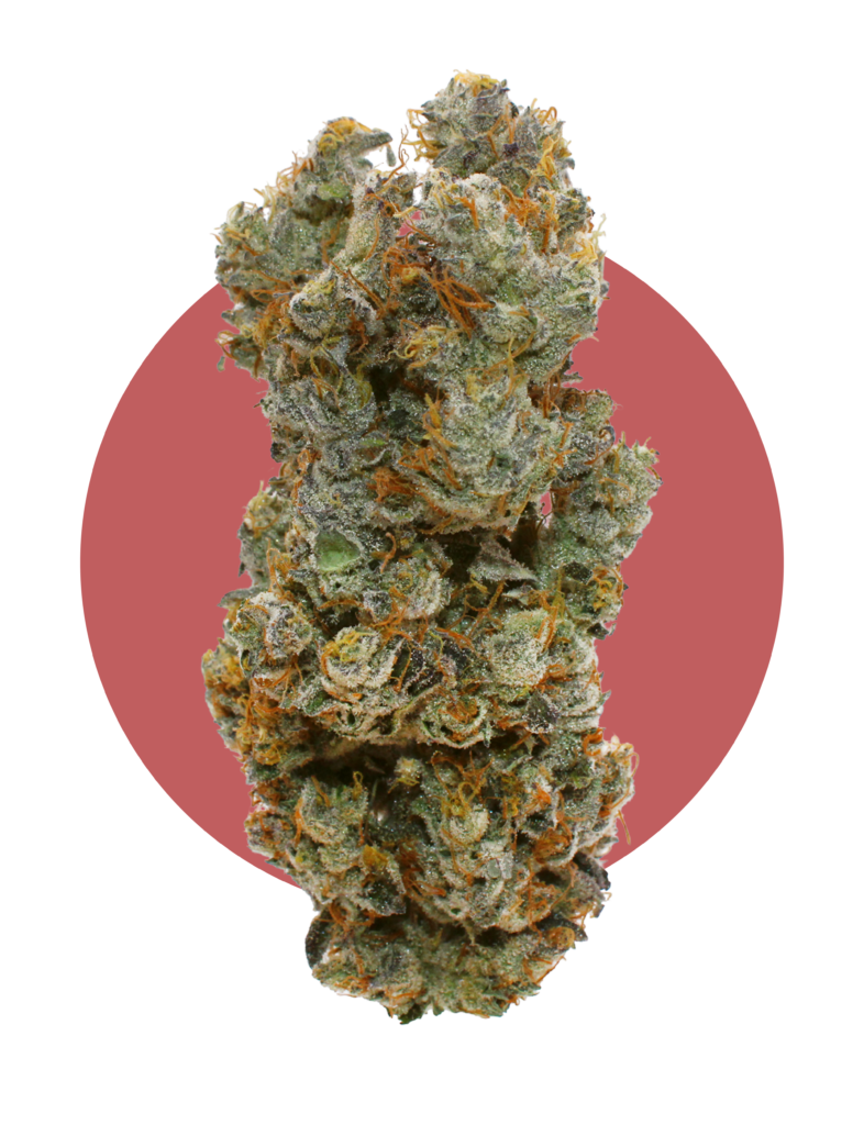 Traditional Market Craft Cannabis 4 Helium craft cannabis from Victoria Cannabis Company